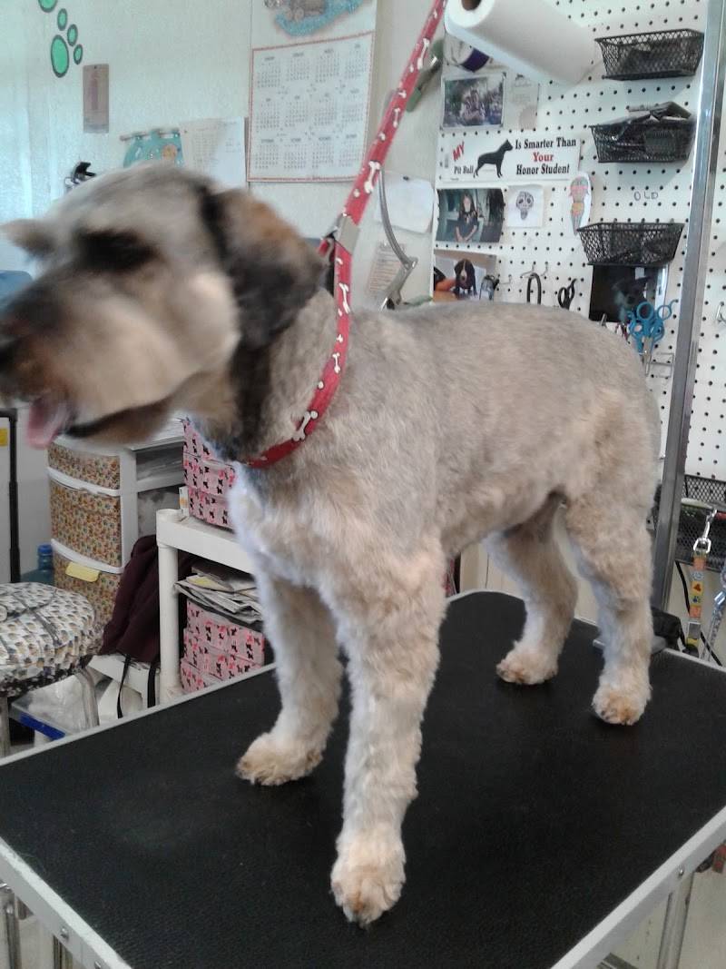 Pet Country Grooming