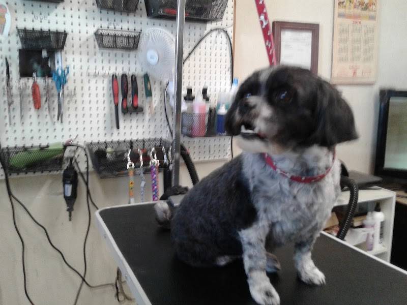 Pet Country Grooming