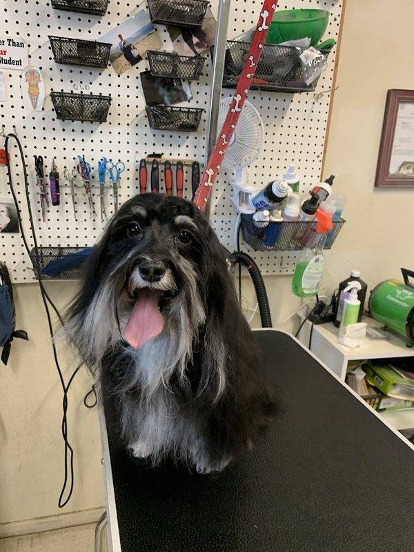 Pet Country Grooming