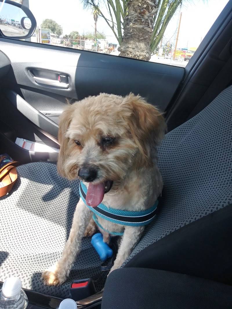 Pet Country Grooming
