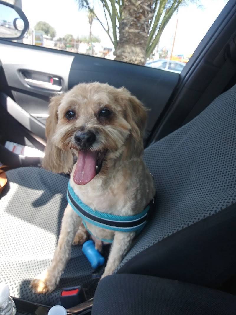 Pet Country Grooming