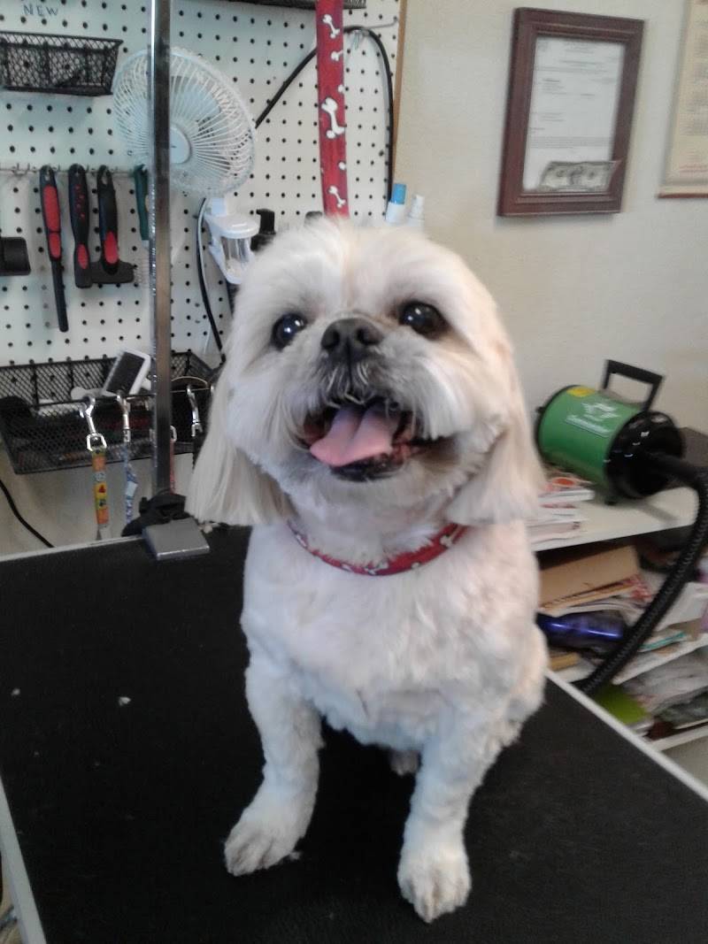 Pet Country Grooming