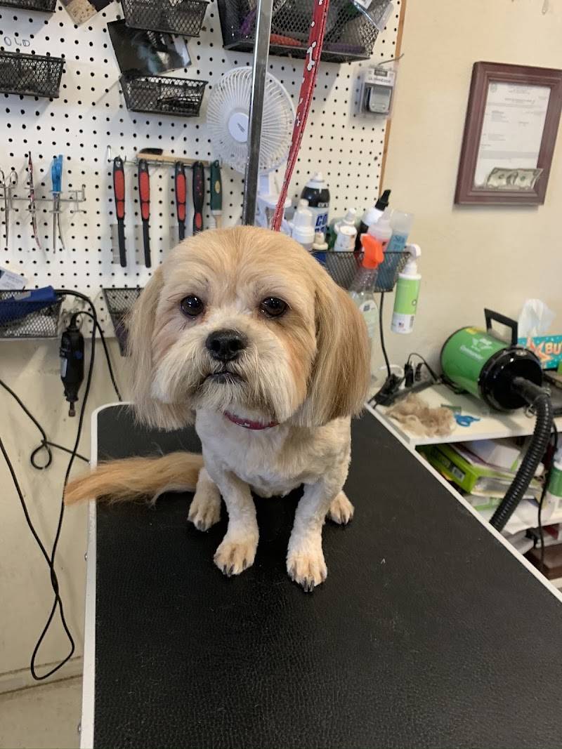 Pet Country Grooming