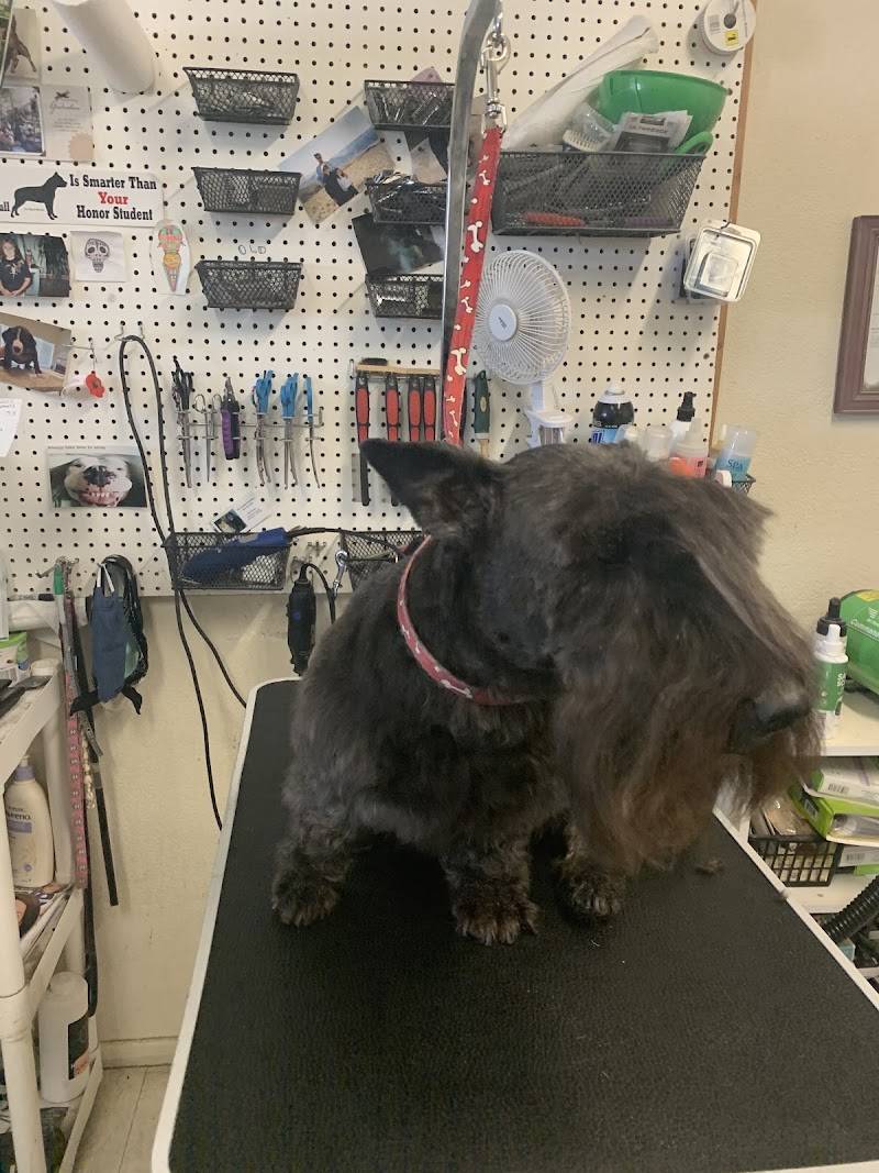Pet Country Grooming