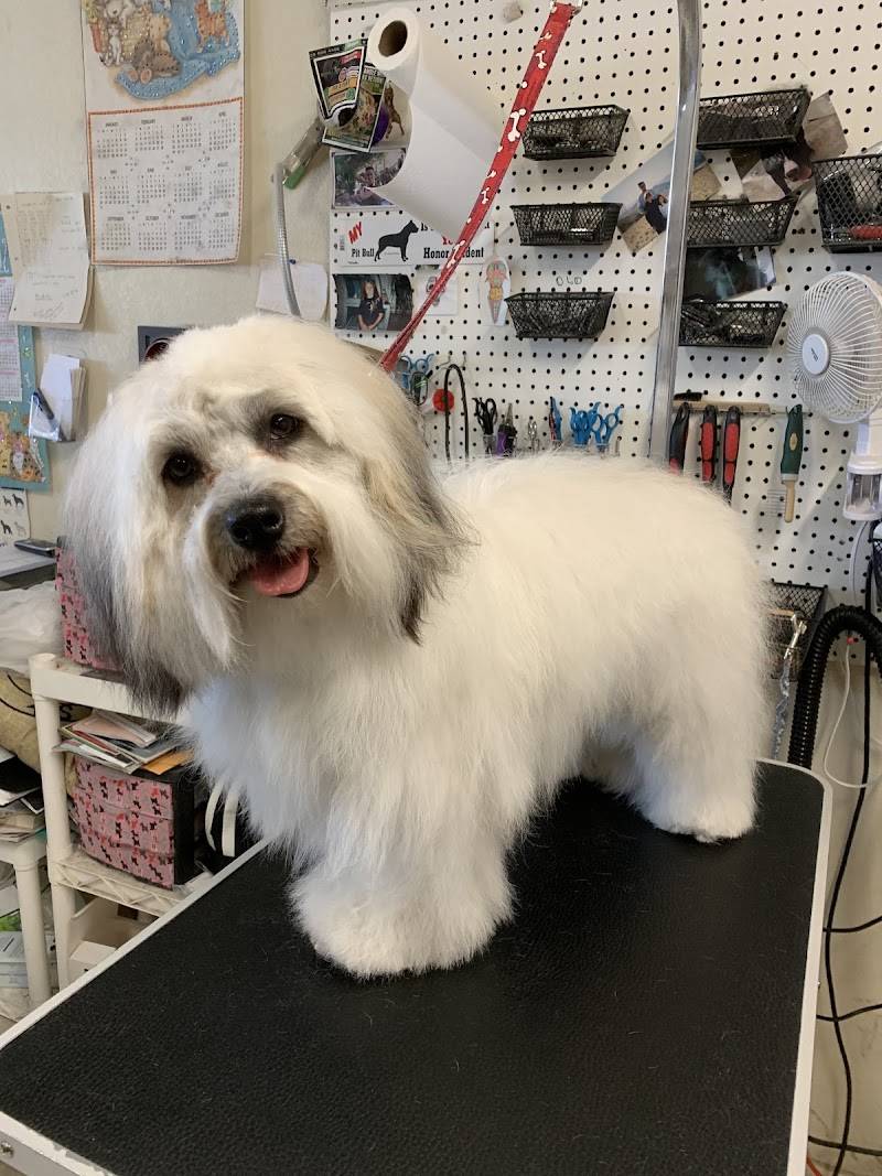 Pet Country Grooming